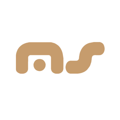 MS France.png.webp